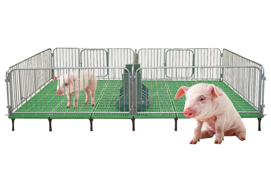 Pig Housing & Accessories