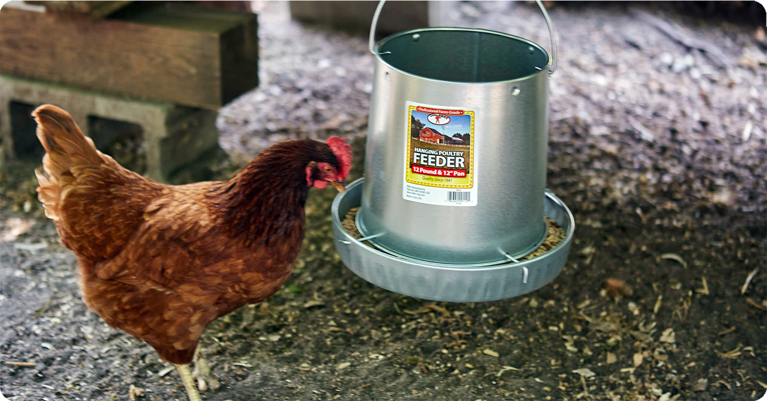 Poultry Feeders