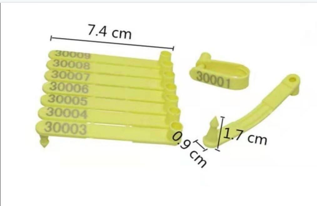 Ear Tag (Twin)