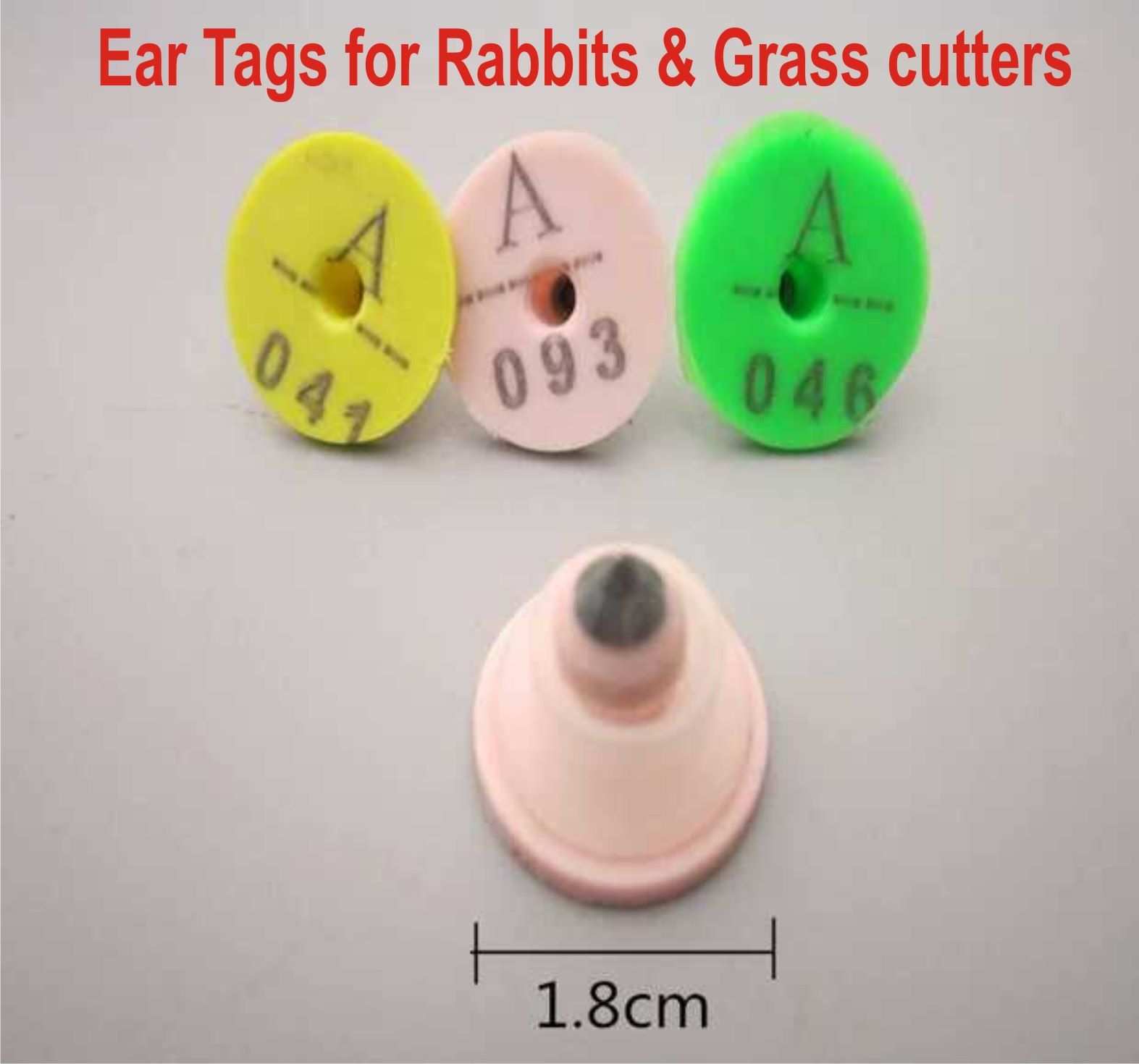 Ear Tag (Rabbit & Grasscutter)
